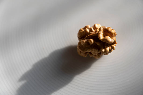 Close-up view of whole walnuts and walnut kernels arranged on a white textured plate, highlighting natural texture, healthy food concept and minimalist still life composition.