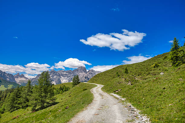 istock Path along lush meadows and fir trees with view on dolomites mountains 2248579750