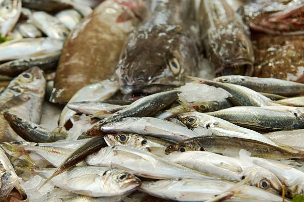 istock Fresh seafood assortment displayed on ice, showcasing various fish types and textures in a vibrant market setting, emphasizing culinary freshness and quality 2248579916