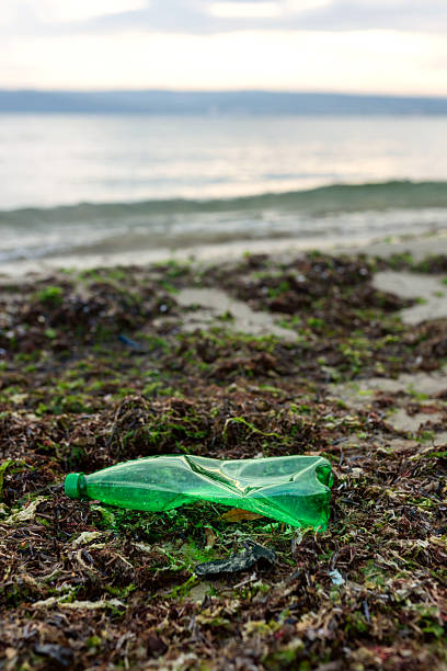 istock Volunteer picking up a green plastic bottle 2248580621