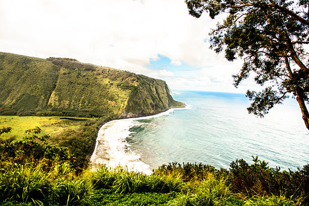 Punaluu black sand beach, Big Island, Hawaii