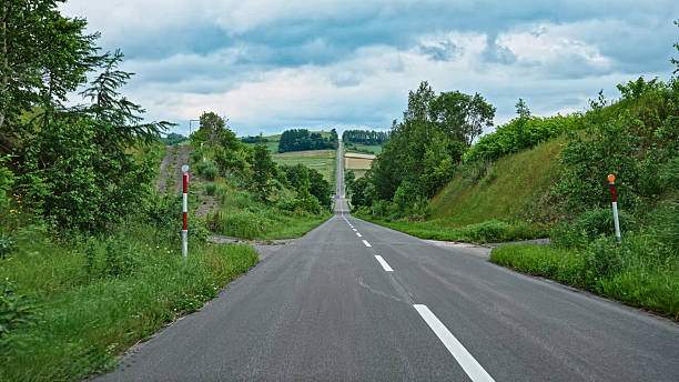 istock Well-aligned road crossing forests and meadows in spring 2248583354