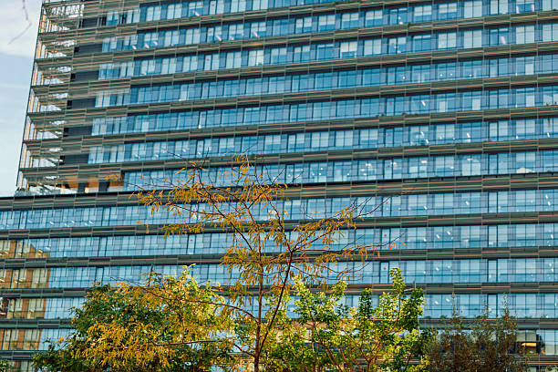 Contemporary office building featuring a detailed glass facade with many windows, reflecting the urban environment and highlighting green trees in front during daylight
