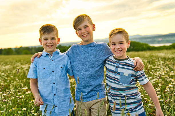istock Beautiful brother boy in daisy field on sunset, summertime 2248589780