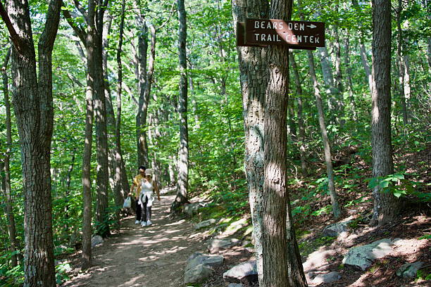 Bluemont, Virginia, USA - August 3, 2025: A couple hiking approaches a wooden sign affixed to a tree showing the direction to the Bears Den Trail Center adjacent to the Appalachian Trail and Bear Rocks Overlook.