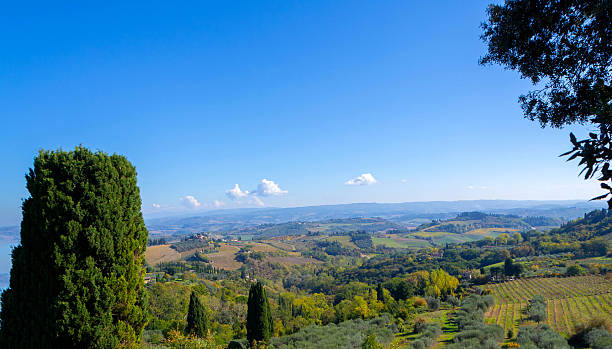 istock Panoramic Tuscan Countryside With Rolling Hills, Vineyards, and Tall Cypresses Under a Bright Blue Sky 2248595653