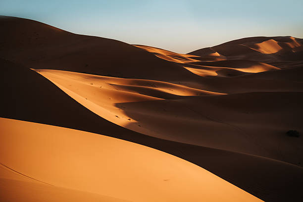 Golden sand dunes roll across a calm desert at dusk, casting long shadows and warm tones. A tranquil, expansive Moroccan landscape with soft light and sweeping curves, evoking solitude and serenity.