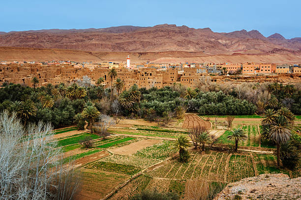 istock Moroccan Village Overlooking Oasis Fields and Palms, Atlas Mountains 2248597708