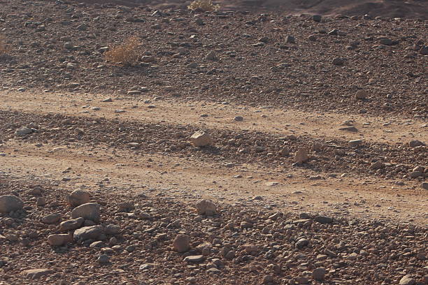 desert dirt road