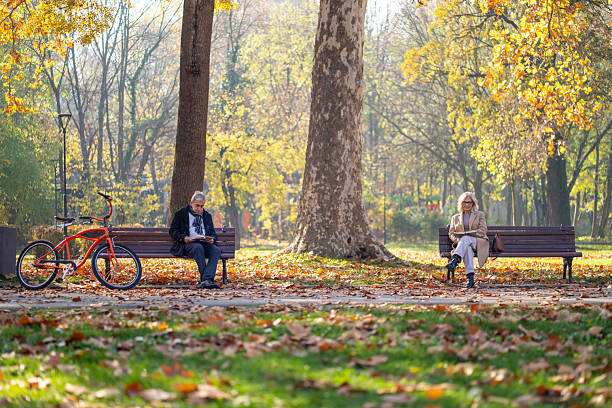 istock Senior couple relaxing on park benches in autumn 2248606423