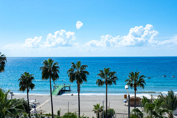 Beach promenade with palms, tropical beach scenes, Peaceful Mediterranean Alanya's seaside view palm trees, colorful sunbeds and umbrellas, resort Turkey locations, calm ocean waves and tranquil sky