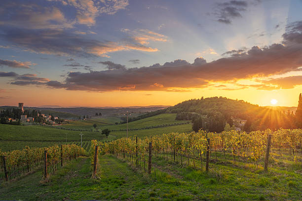 istock Vineyard Sunset with Badia a Passignano Abbey, Chianti, Tuscany 2248618675