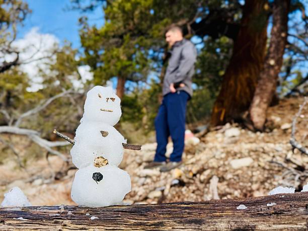 snowman waiting for summer