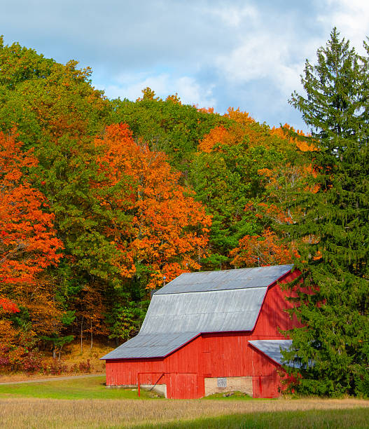 istock Red Barn with fall leaf colors- Northern Michigan 2248619233