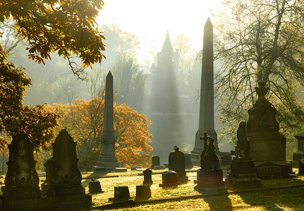A wide-angle view of three stone headstones at a Belgian military cemetery. The markers are for unknown soldiers, inscribed in Dutch and French, featuring the Belgian national flag emblem against a bright blue sky with white clouds.