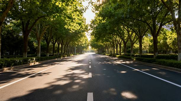 istock Urban road greening landscape 2248626981