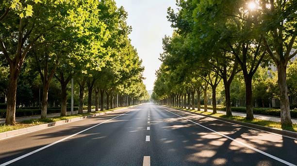 istock Urban road greening landscape 2248626985