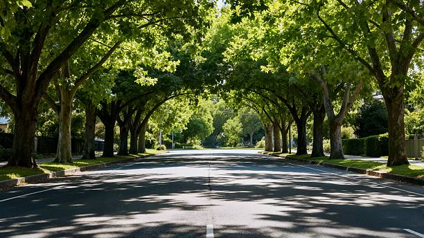 istock Urban road greening landscape 2248626988