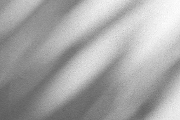 istock Abstract natural tree branch leaves shadow on white wall background 2248627007