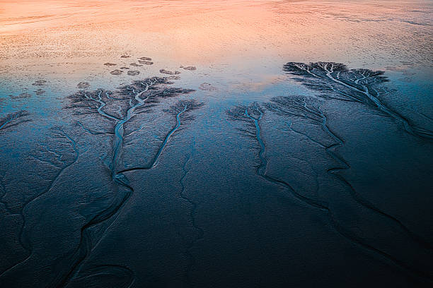 istock Abstract Tide Tree Formations at Low Tide, Qiantang River, Haining, Zhejiang, China 2248629153