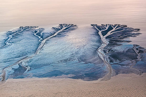 An aerial view of three large tide-carved formations along the Qiantang River in Haining, Zhejiang. The exposed riverbed reveals branching, tree-like structures shaped by retreating water, illuminated by soft pastel tones of early daylight.