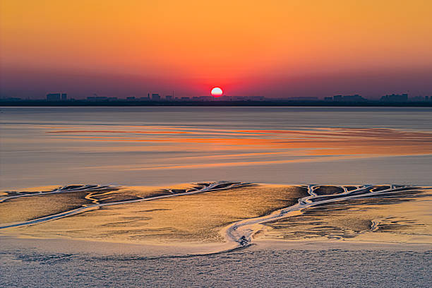 A vivid sunset descends over the skyline of Haining, casting warm orange light across the exposed tidal formations of the Qiantang River. The branching mudflat patterns resemble glowing tree roots illuminated by the evening sky.