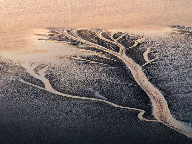 Captured at sunset, this aerial image reveals delicate tide-carved formations on the Qiantang River. Warm peach and golden tones illuminate the branching channels, creating an elegant and painterly natural landscape as daylight fades.