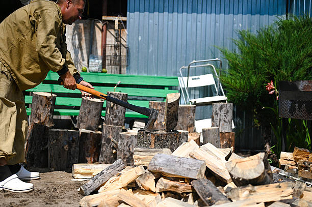 Adult man performing manual labor chopping wood outdoors