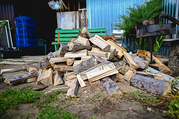 Chopped firewood logs piled on the ground in a rustic backyard setting