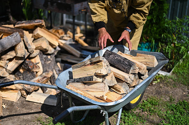istock Person loading firewood logs into wheelbarrow for winter preparation 2248629652