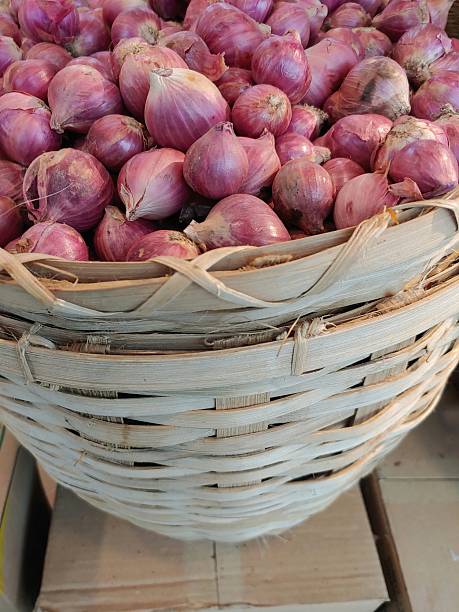 istock A group of fresh Shallots (Allium cepa) in wicker basket. Red Shallot. 2248630507