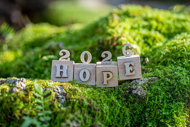 istock 2026 Hopeful Beginnings in Nature new year 2248633262