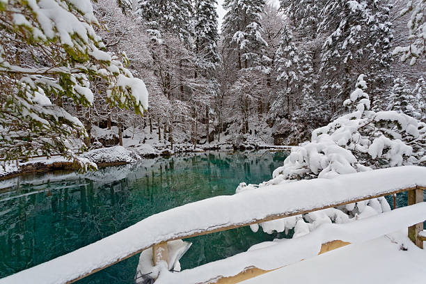 istock Panoramic view of a tranquil lake in winter 2248646425