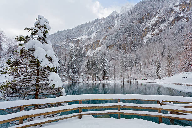 istock Panoramic view of a tranquil lake in winter 2248646490