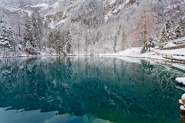 Panoramic view of a tranquil lake in winter
