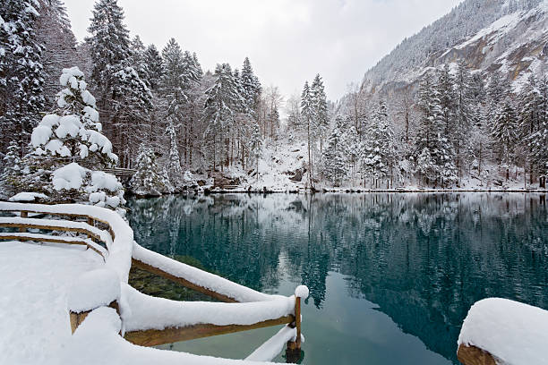 istock Panoramic view of a tranquil lake in winter 2248646570