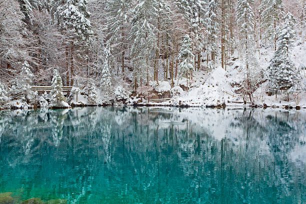 istock Panoramic view of a tranquil lake in winter 2248647237