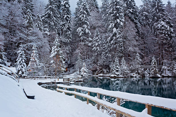 istock Panoramic view of a tranquil lake in winter 2248647562