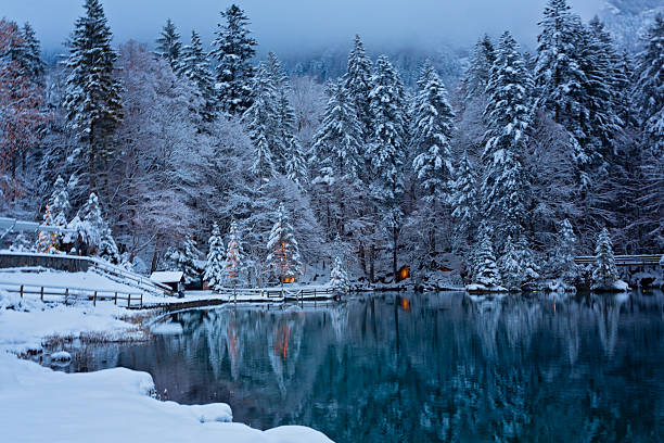Panoramic view of a tranquil lake in winter