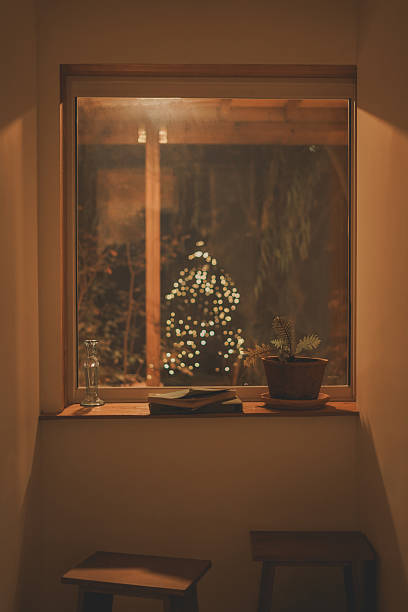 Decorated Christmas Tree with Lights Reflected in a Winter-Themed Window