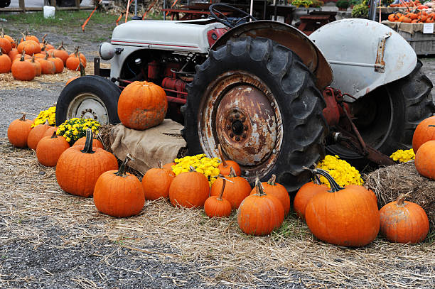 istock pumpkin harvest decoration in the farm with old tractor 2248659247