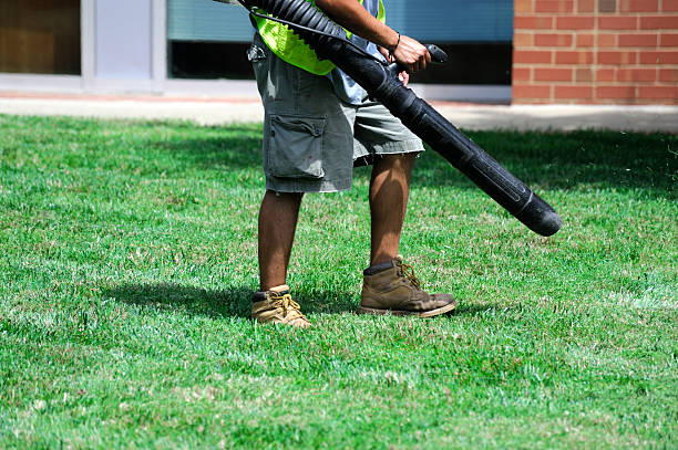 istock outdoor worker operates blower to clean the garden 2248659368