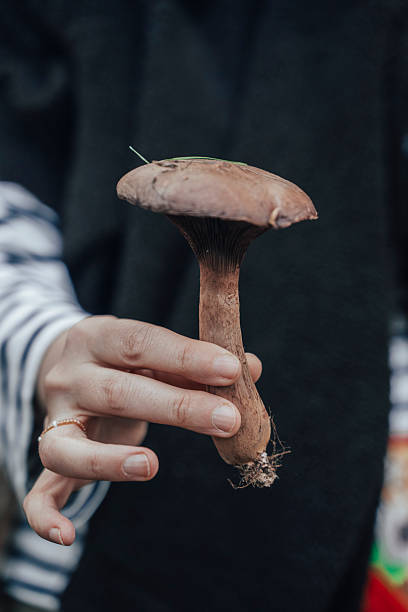 istock Hand Holding Mushroom in Late Autumn Forest 2248660550