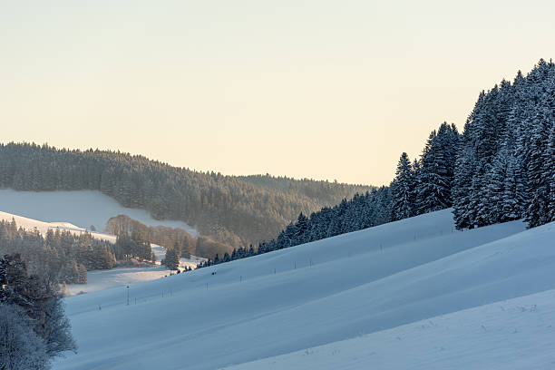 istock Winter landscape with snow covered pine trees in the Black Forest mountains 2248662332