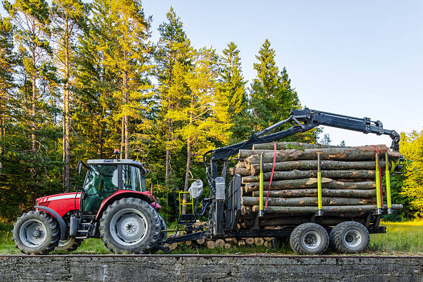 tractor transporting logs in forested landscape.red tractor with large load logs on summer forest background. industrial aspect of logging in nature lush green forest backdrop