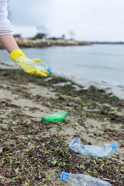 istock volunteer collecting plastic bottles on a 2248663996