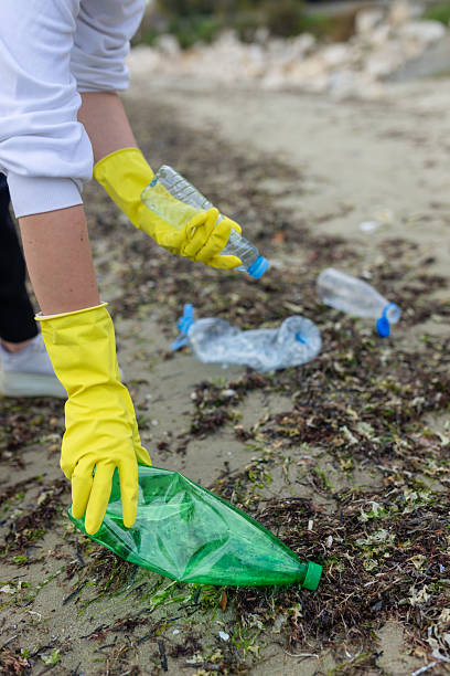 istock volunteer collecting plastic bottles on a 2248664288