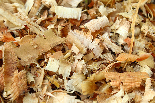 istock texture and background on pile of sawdust close up 2248665591