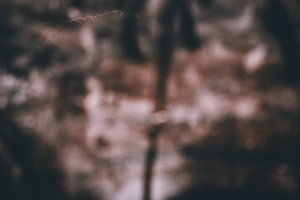 Dark abstract texture with scratches, stains and random patterns in brown and white.