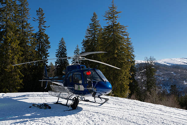 A blue helicopter awaits on a snowy mountain, ready for heli-skiing. Surrounded by pine trees and stunning alpine scenery under a clear blue sky, it captures the essence of winter adventure